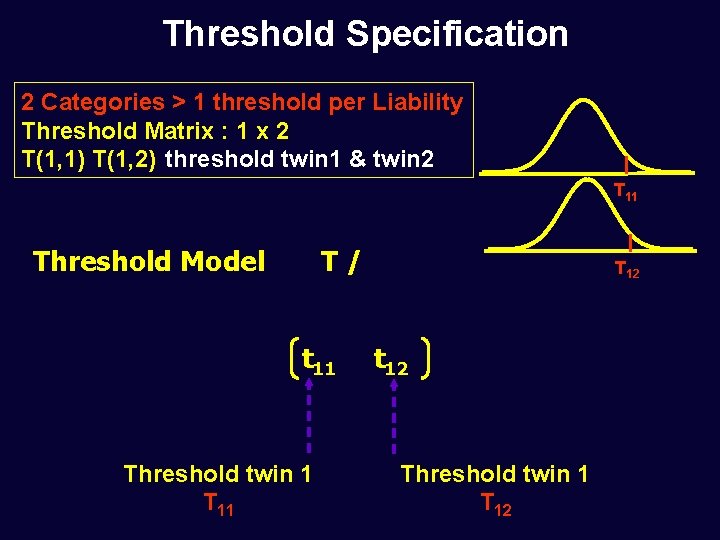 Threshold Specification 2 Categories > 1 threshold per Liability Threshold Matrix : 1 x