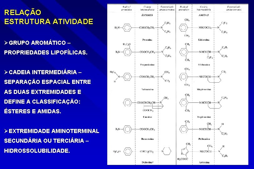 RELAÇÃO ESTRUTURA ATIVIDADE ØGRUPO AROMÁTICO – PROPRIEDADES LIPOFÍLICAS. ØCADEIA INTERMEDIÁRIA – SEPARAÇÃO ESPACIAL ENTRE