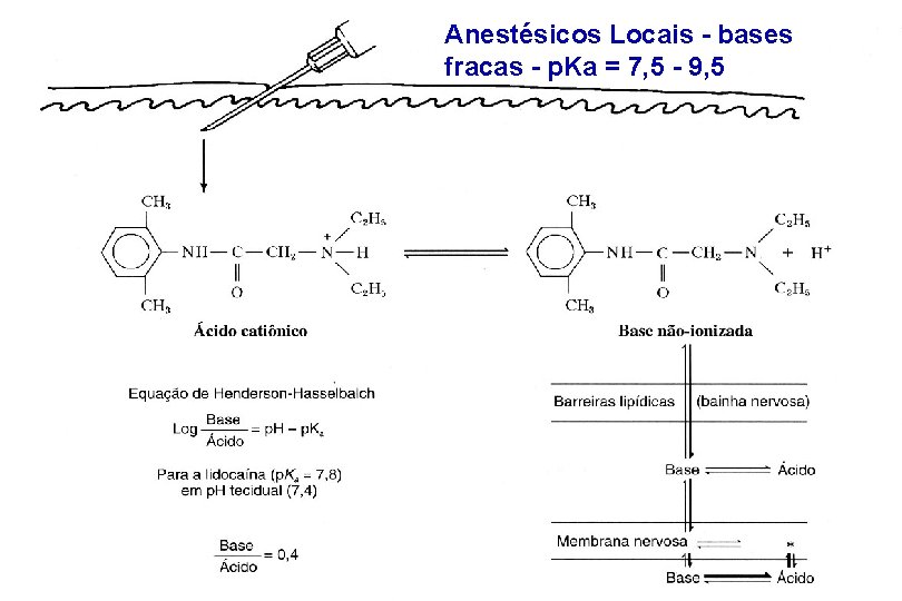 Anestésicos Locais - bases fracas - p. Ka = 7, 5 - 9, 5
