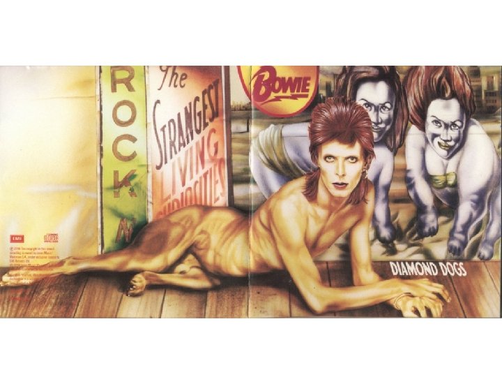 Diamond Dogs 