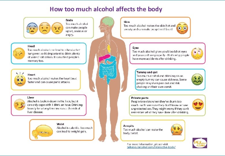 How too much alcohol affects the body 