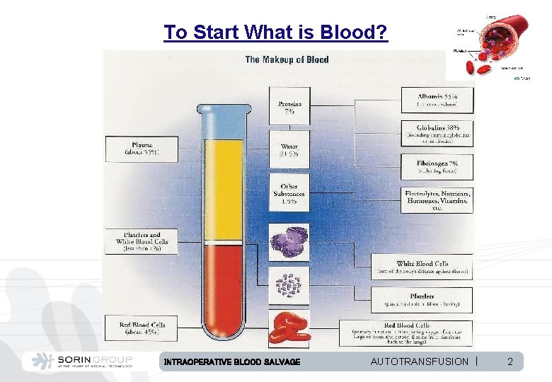 To Start What is Blood? INTRAOPERATIVE BLOOD SALVAGE AUTOTRANSFUSION | 2 