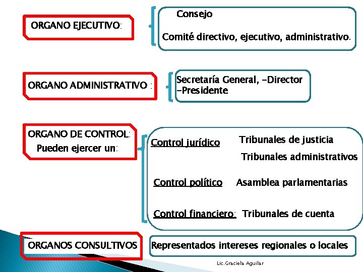 Consejo ORGANO EJECUTIVO: Comité directivo, ejecutivo, administrativo. ORGANO ADMINISTRATIVO : ORGANO DE CONTROL: Pueden