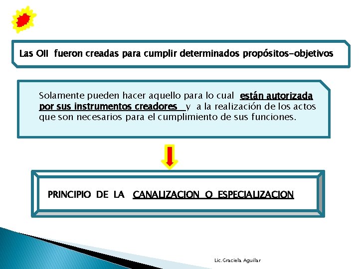 Las OII fueron creadas para cumplir determinados propósitos-objetivos Solamente pueden hacer aquello para lo