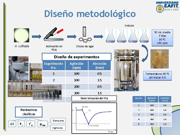 Diseño metodológico Inóculo Activación en PDA H. coffeata Discos de agar 7 días, 30