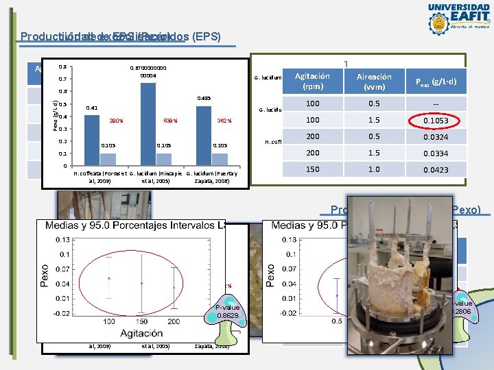 Producción dede Productividad exopolisacáridos EPS (Pexo) (EPS) 0. 8 Agitación (rpm)0. 7 Pexo (g/L