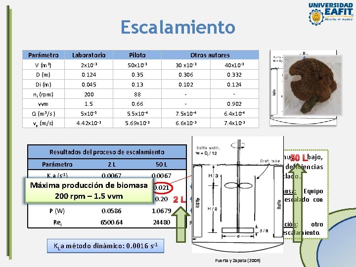 Escalamiento Parámetro Laboratorio Piloto V (m 3) 2 x 10 -3 50 x 10