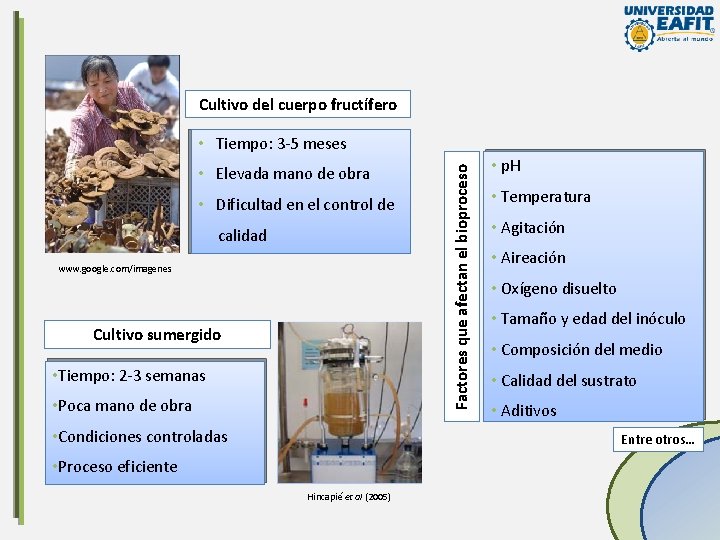 Cultivo del cuerpo fructífero • Elevada mano de obra • Dificultad en el control