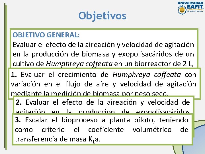 Objetivos OBJETIVO GENERAL: Evaluar el efecto de la aireación y velocidad de agitación en