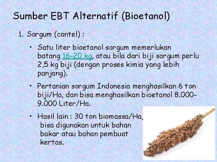 Sumber EBT Alternatif (Bioetanol) 1. Sorgum (cantel) : • Satu liter bioetanol sorgum memerlukan