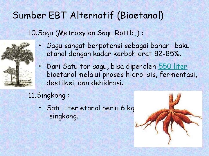 Sumber EBT Alternatif (Bioetanol) 10. Sagu (Metroxylon Sagu Rottb. ) : • Sagu sangat
