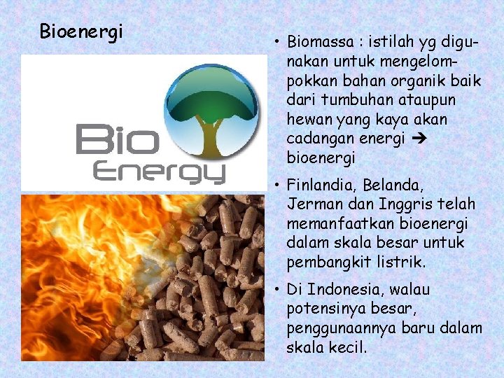 Bioenergi • Biomassa : istilah yg digunakan untuk mengelompokkan bahan organik baik dari tumbuhan