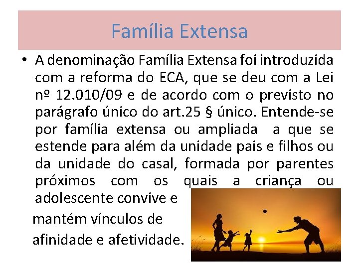 Família Extensa • A denominação Família Extensa foi introduzida com a reforma do ECA,