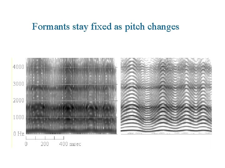 Formants stay fixed as pitch changes 