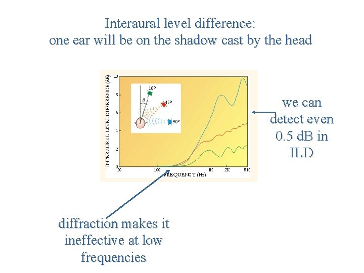 Interaural level difference: one ear will be on the shadow cast by the head