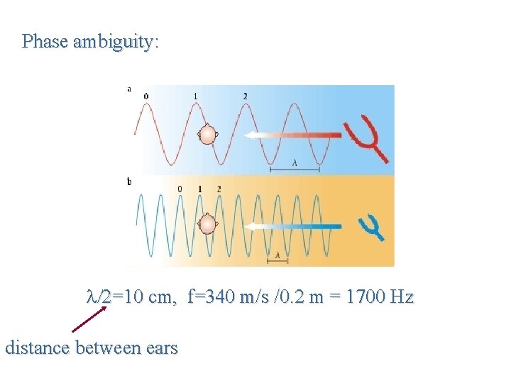 Phase ambiguity: l/2=10 cm, f=340 m/s /0. 2 m = 1700 Hz distance between