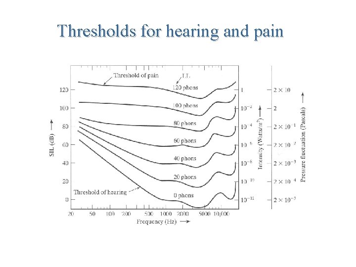 Thresholds for hearing and pain 