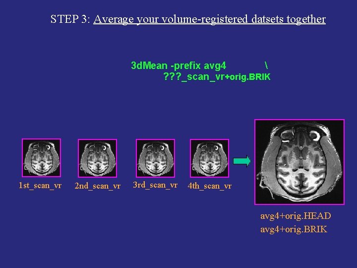 STEP 3: Average your volume-registered datsets together 3 d. Mean -prefix avg 4 