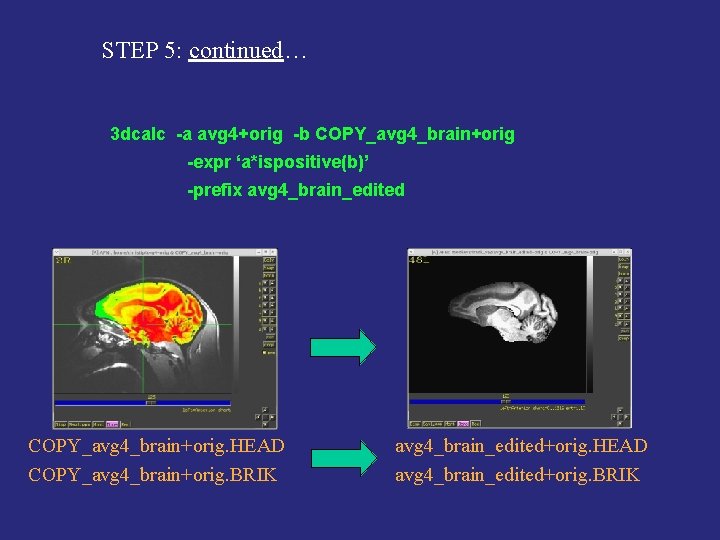 STEP 5: continued… 3 dcalc -a avg 4+orig -b COPY_avg 4_brain+orig -expr ‘a*ispositive(b)’ -prefix