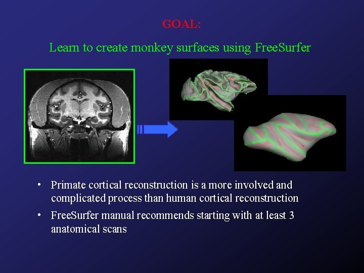 GOAL: Learn to create monkey surfaces using Free. Surfer • Primate cortical reconstruction is
