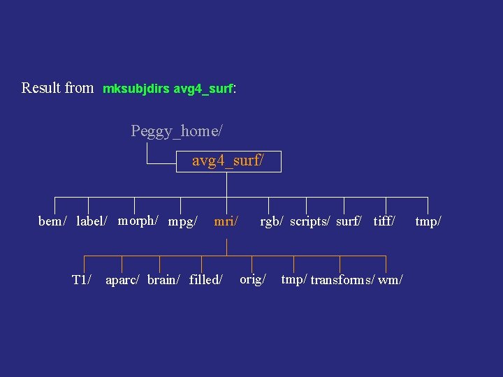 Result from mksubjdirs avg 4_surf: Peggy_home/ avg 4_surf/ bem/ label/ morph/ mpg/ T 1/