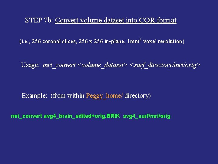 STEP 7 b: Convert volume dataset into COR format (i. e. , 256 coronal