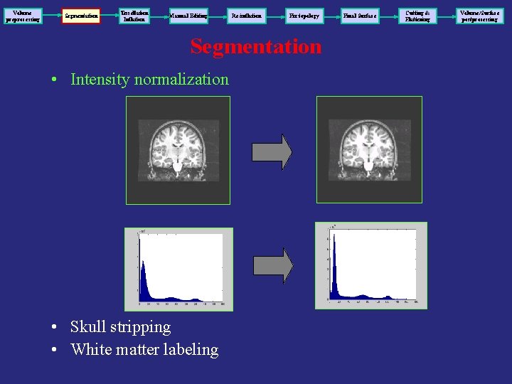 Volume preprocessing Segmentation Tessellation Inflation Manual Editing Re-inflation Fix topology Segmentation • Intensity normalization