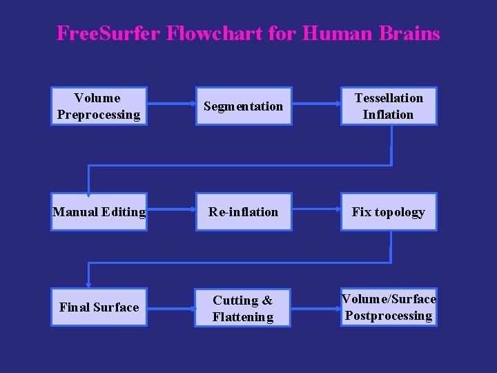 Free. Surfer Flowchart for Human Brains Volume Preprocessing Segmentation Tessellation Inflation Manual Editing Re-inflation
