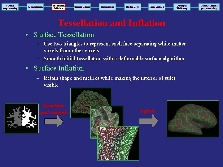 Volume preprocessing Segmentation Tessellation Inflation Manual Editing Re-inflation Fix topology Final Surface Cutting &