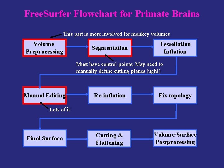 Free. Surfer Flowchart for Primate Brains This part is more involved for monkey volumes
