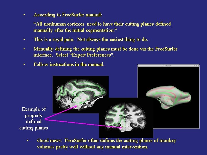  • According to Free. Surfer manual: “All nonhuman cortexes need to have their