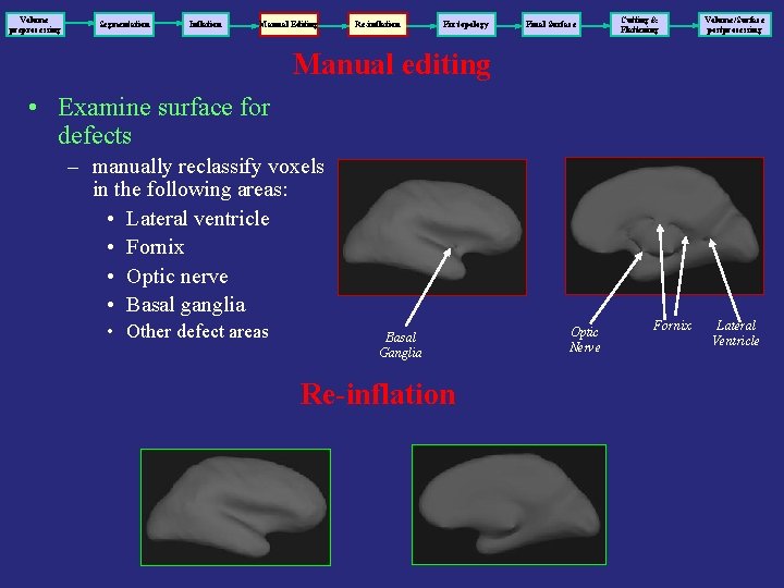 Volume preprocessing Segmentation Inflation Manual Editing Re-inflation Fix topology Final Surface Cutting & Flattening