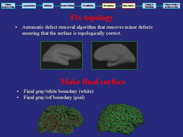 Volume preprocessing Segmentation Inflation Manual Editing Re-inflation Fix topology Final Surface Cutting & Flattening