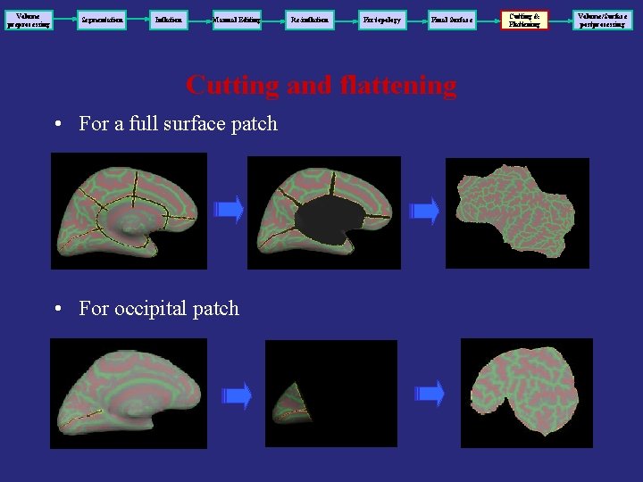 Volume preprocessing Segmentation Inflation Manual Editing Re-inflation Fix topology Final Surface Cutting and flattening