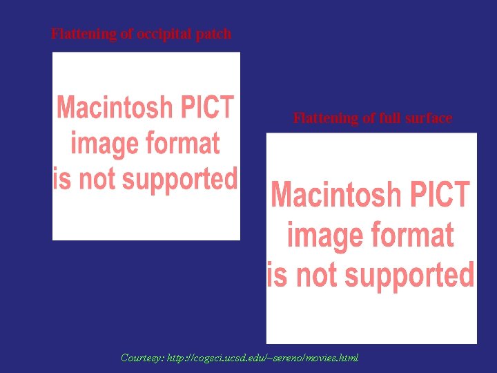 Flattening of occipital patch Flattening of full surface Courtesy: http: //cogsci. ucsd. edu/~sereno/movies. html
