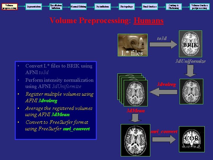 Volume preprocessing Segmentation Tessellation Inflation Manual Editing Re-inflation Fix topology Cutting & Flattening Final