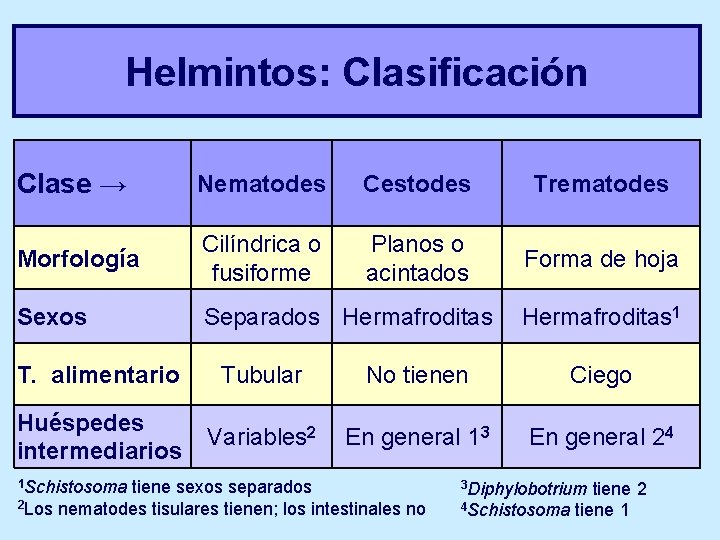 Helmintos: Clasificación Clase → Nematodes Cestodes Trematodes Morfología Cilíndrica o fusiforme Planos o acintados