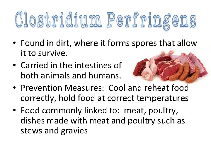  • Found in dirt, where it forms spores that allow it to survive.