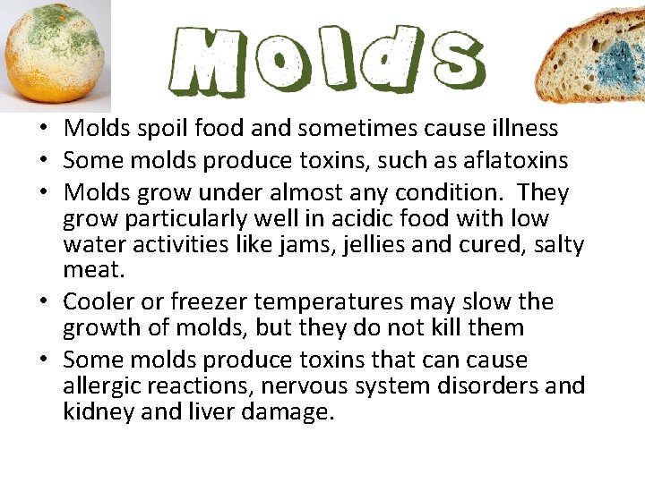  • Molds spoil food and sometimes cause illness • Some molds produce toxins,