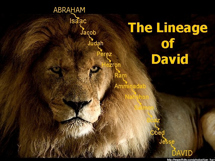 ABRAHAM Isaac The Lineage of David Jacob Judah Perez Hezron Ram Amminadab Nahshon Salmon