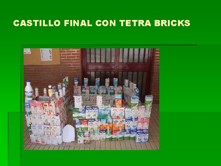 CASTILLO FINAL CON TETRA BRICKS 