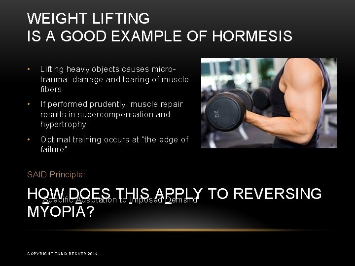 WEIGHT LIFTING IS A GOOD EXAMPLE OF HORMESIS • Lifting heavy objects causes microtrauma: