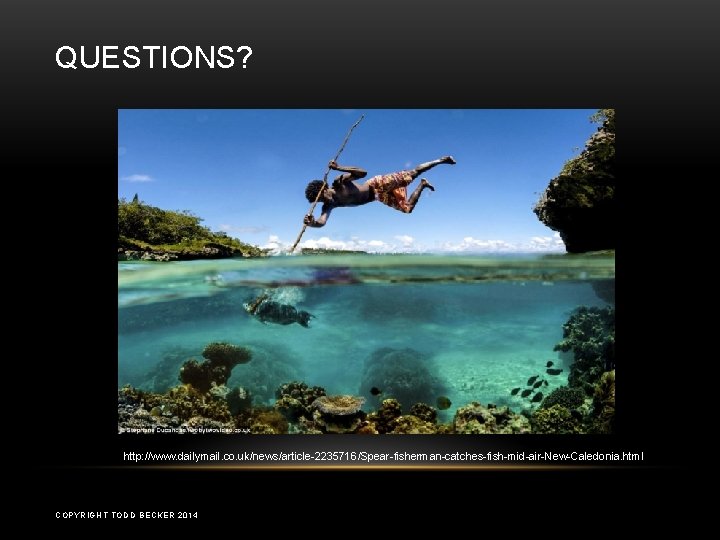QUESTIONS? http: //www. dailymail. co. uk/news/article-2235716/Spear-fisherman-catches-fish-mid-air-New-Caledonia. html COPYRIGHT TODD BECKER 2014 