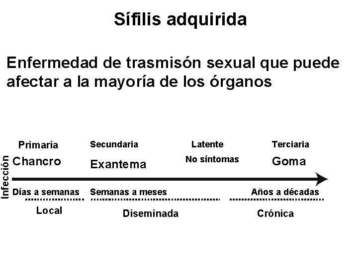 Sífilis adquirida Infección Enfermedad de trasmisón sexual que puede afectar a la mayoría de