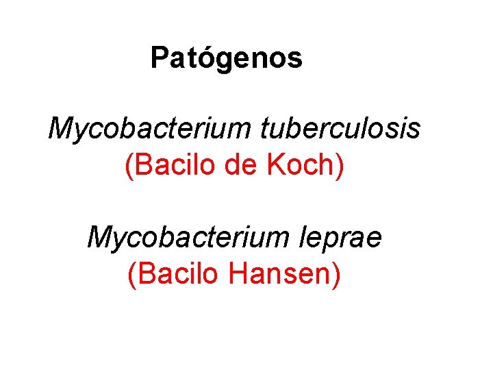 Patógenos Mycobacterium tuberculosis (Bacilo de Koch) Mycobacterium leprae (Bacilo Hansen) 