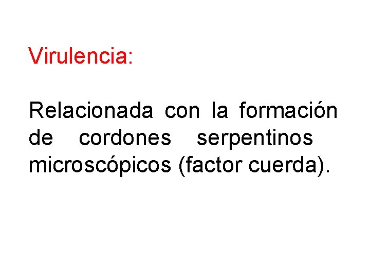 Virulencia: Relacionada con la formación de cordones serpentinos microscópicos (factor cuerda). 