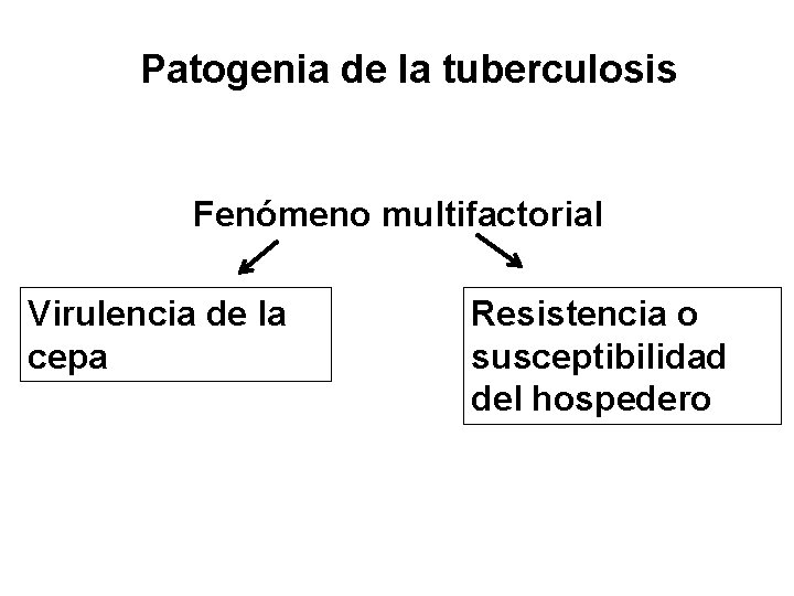 Patogenia de la tuberculosis Fenómeno multifactorial Virulencia de la cepa Resistencia o susceptibilidad del