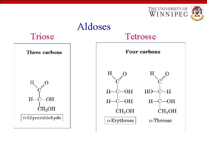 Triose Aldoses Tetrosse 