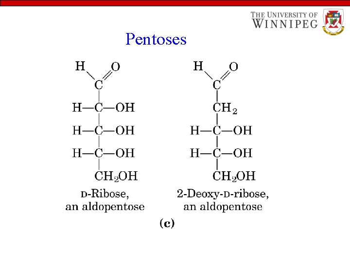 Pentoses 