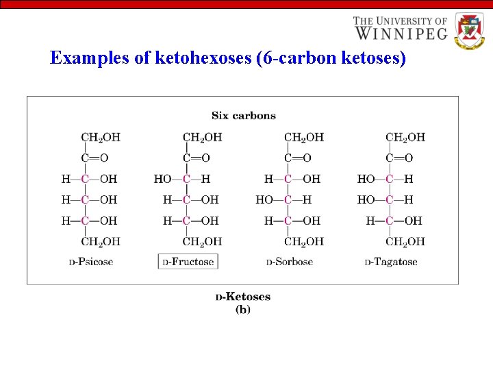 Examples of ketohexoses (6 -carbon ketoses) 